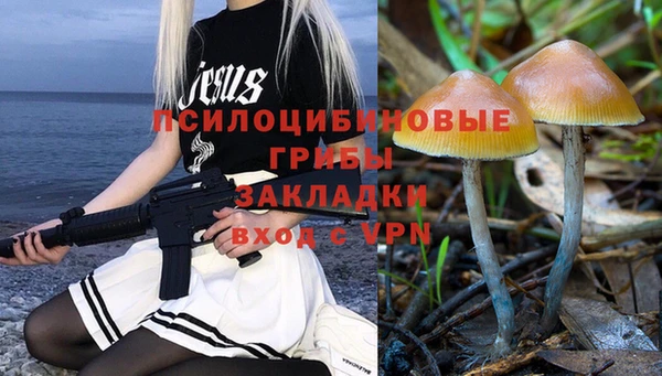 соль ск Карпинск