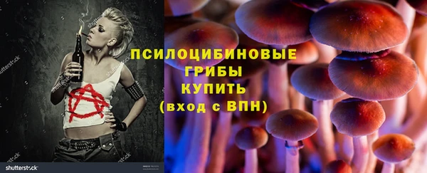 соль ск Карпинск