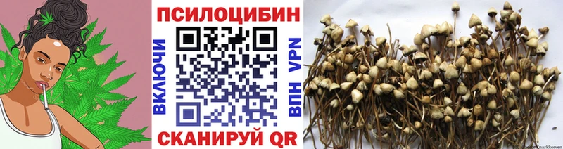 Галлюциногенные грибы ЛСД  Купить закладки  Няндома 